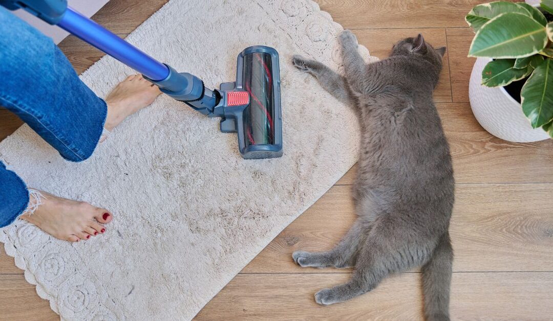 Pet Cleaning & Odor Control Supplies: How to Keep Your Home Fresh Without Overpowering Scents