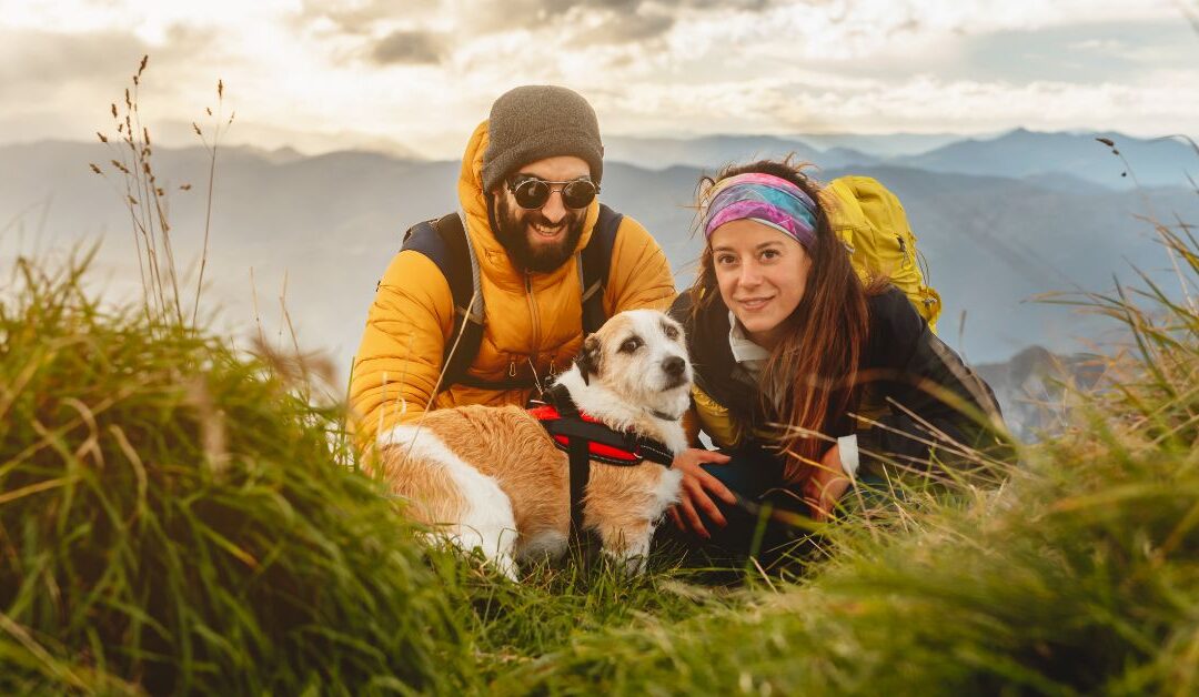 Explore More, Worry Less: Must-Have Pet Lifestyle & Outdoor Gear for Every Season