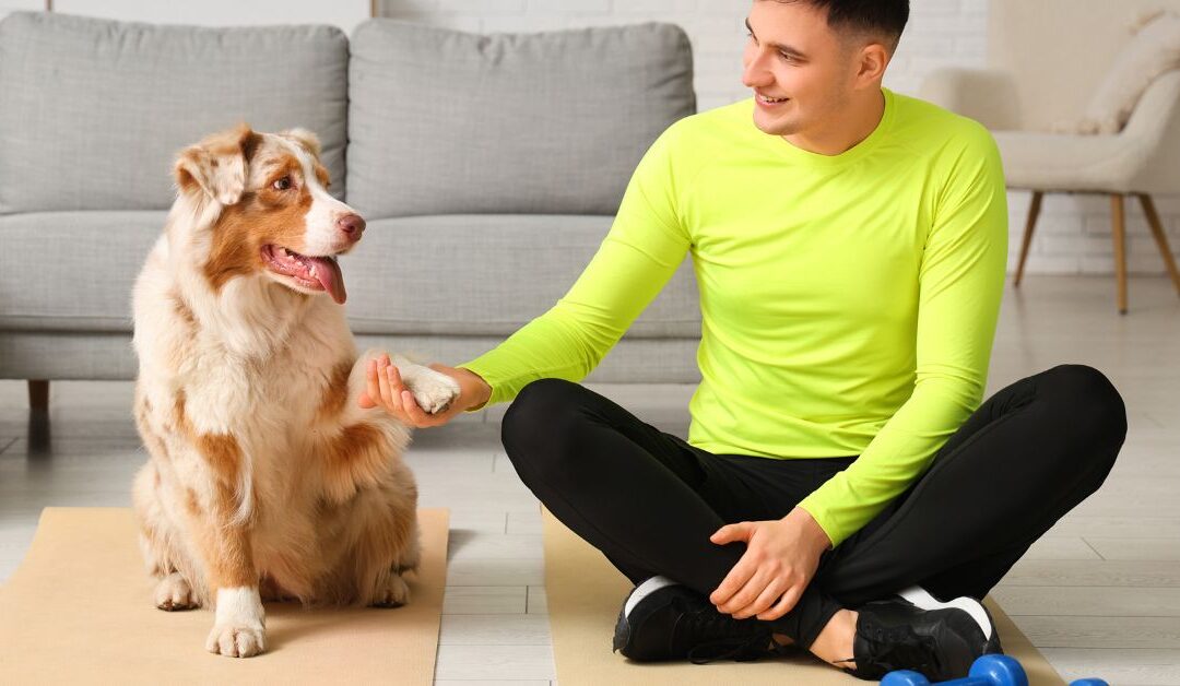 Unlock Your Pet’s Potential: How Pet Training & Activity Mats Boost Play, Learning, and Fun